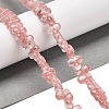 Cherry Quartz Glass Beads Strands G-Q167-B20-01-2