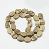 Natural Picture Jasper Beads Strands G-T122-04P-2