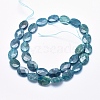 Natural Apatite Beads Strands G-K256-39A-2