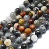 Natural Eagle Eye Stone Beads Strands G-K245-A09-02-1