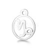 Non-Tarnish 201 Stainless Steel Charms STAS-T014-T505-10-1