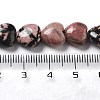 Natural Rhodonite Beads Strands G-P528-C07-01-5