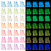 Olycraft 56Pcs 7 Colors Luminous Resin Display Decoration DJEW-OC0001-40-1