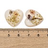 Transparent Resin Cabochons RESI-K033-12A-3