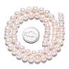 Natural Cultured Freshwater Pearl Beads Strands PEAR-N016-07A-6