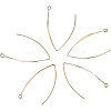 Brass Earring Hooks KK-BC0003-75G-6