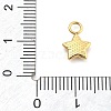 Ion Plating(IP) 304 Stainless Steel Charms STAS-P379-06C-G-3