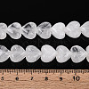 Natural Quartz Crystal Beads Strands G-T144-22A-04-5
