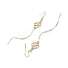 201 Stainless Steel Dangle Earring EJEW-JE05942-4