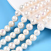 Natural Cultured Freshwater Pearl Beads Strands PEAR-S020-F11-1