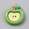 Opaque Resin Pendants LS-RESI-CJC0029-001C-01-1