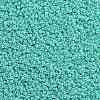 TOHO Round Seed Beads SEED-XTR11-0920-2
