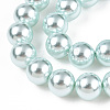 Glass Pearl Beads Strands HY-G002-01F-12-2