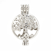 Alloy Locket Pendants PALLOY-S062-54P-1