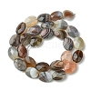 Natural Botswana Beads Strands G-H004-B02-04-3