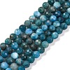 Natural Apatite Beads Strands G-F770-C02-02-1