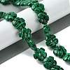 Dyed Synthetic Malachite Beads Strands G-H023-B05-01-2
