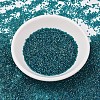 MIYUKI Delica Beads SEED-MY11-DB1764-2