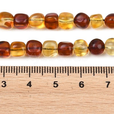 Two Tone Natural Amber Beads Strands G-K426-A03-05-1