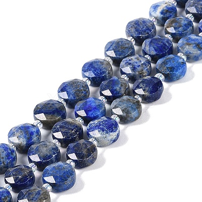 Natural Lapis Lazuli Beads Strands G-N342-16-1