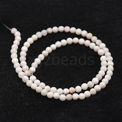 Natural Crazy Lace Agate Bead Strands X-G-D840-55-4mm-1
