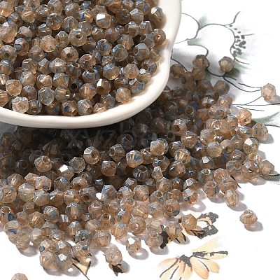 Picasso Baking Paint Glass Seed Beads SEED-A032-02A-13-1