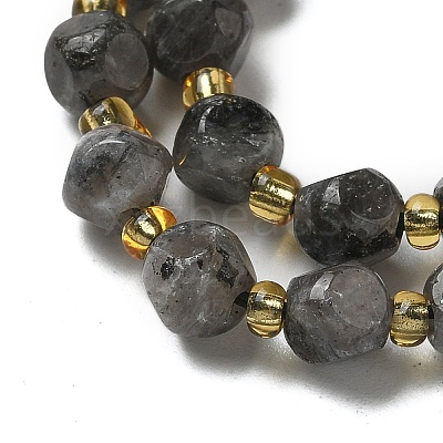 Natural Larvikite Beads Strands G-K387-A02-01-1