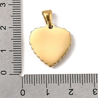 304 Stainless Steel Pendants STAS-B094-04C-G-1