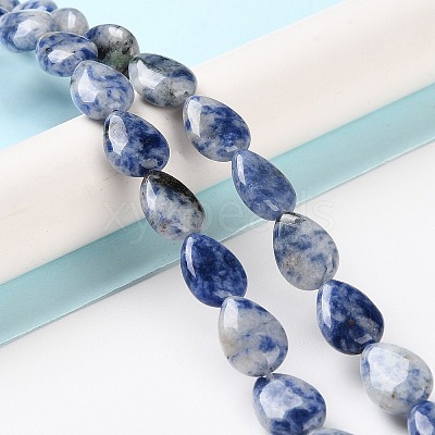 Natural Blue Spot Jasper Beads Strands G-K357-A06-01-1