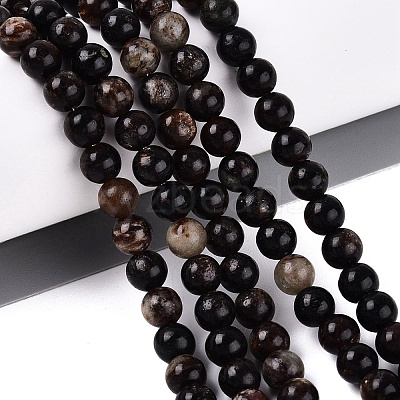 Natural Biotite Beads Strands G-Q616-01B-1