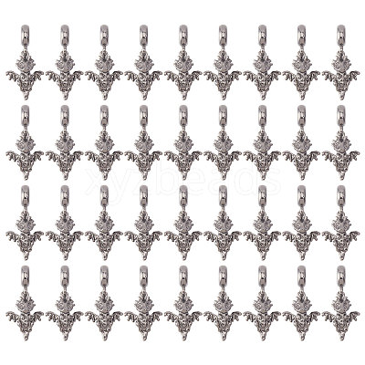 36Pcs Alloy European Dangle Charms MPDL-CA0001-06B-1