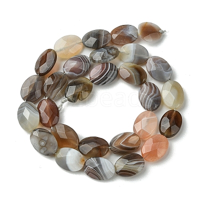 Natural Botswana Beads Strands G-H004-B02-04-1