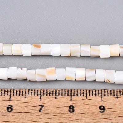 Natural Freshwater Shell Beads Strands SHEL-N027-09A-1