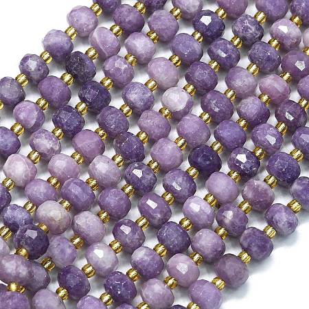 Natural Lepidolite Beads Strands G-K389-E47-01-1