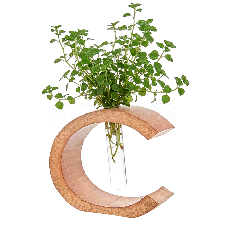 Glass Hydroponic Vase AJEW-WH0709-388A-1