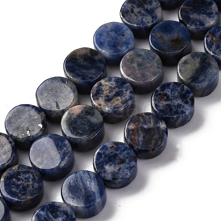 Natural Sodalite Beads Strands G-C159-B10-01-1