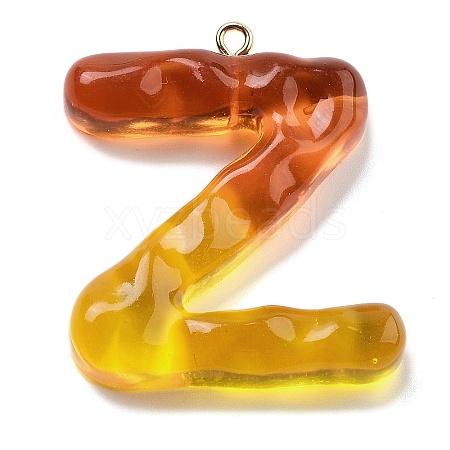 Resin Pendant FIND-Q107-01Z-01-1