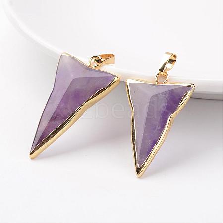 Natural Amethyst Pendants G-H046-02-1