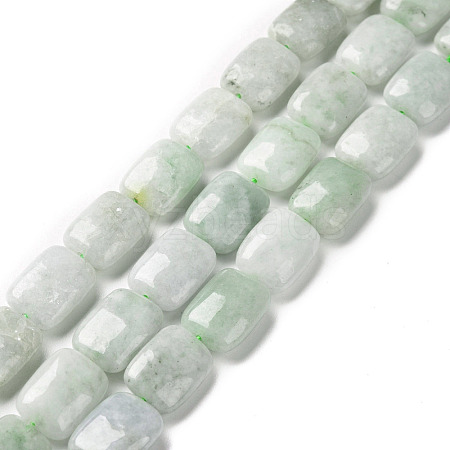 Natural Myanmar Jade/Burmese Jade Beads Strands G-C238-13-1
