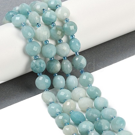 Natural Amazonite Beads Strands G-B094-A09-01-1