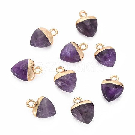 Natural Amethyst Charms G-N326-121-03-1