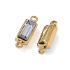 Birthstone 304 Stainless Steel Rhinestone Connector Charms STAS-L022-576G-04-2