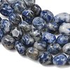 Natural Blue Spot Jasper Beads Strands GG-CBA787B-A29-3