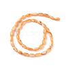 Natural Freshwater Shell Dyed Beads Strands SHEL-M018-13-08-2