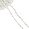 Natural White Shell Beads Strands SHEL-WH0001-007-2