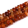 Natural Agate Beads Strands G-N356-01A-10-2