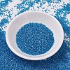 MIYUKI Delica Beads SEED-J020-DB0862-2