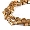 Dyed Natural Freshwater Shell Beads Strands SHEL-P016-01A-3