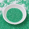MIYUKI Delica Beads X-SEED-J020-DB0691-2