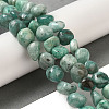 Natural Amazonite Beads Strands G-B078-D10-02-2